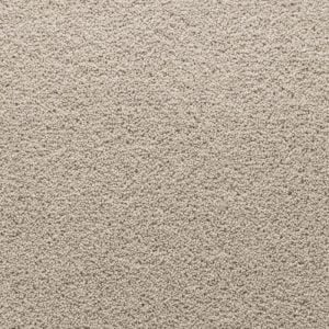 Carpet swatch 06