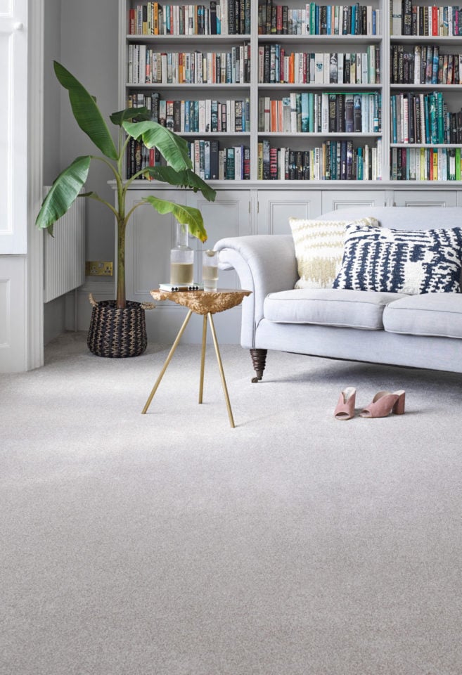 Carpets Banner Image