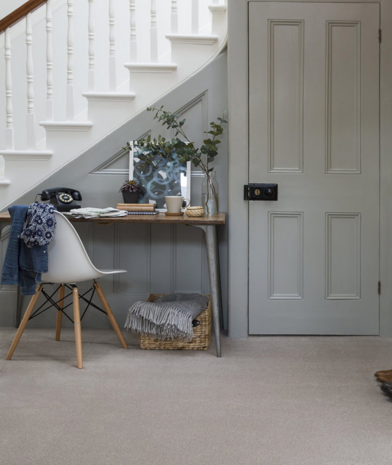 Home Counties Plains Cairn Grey