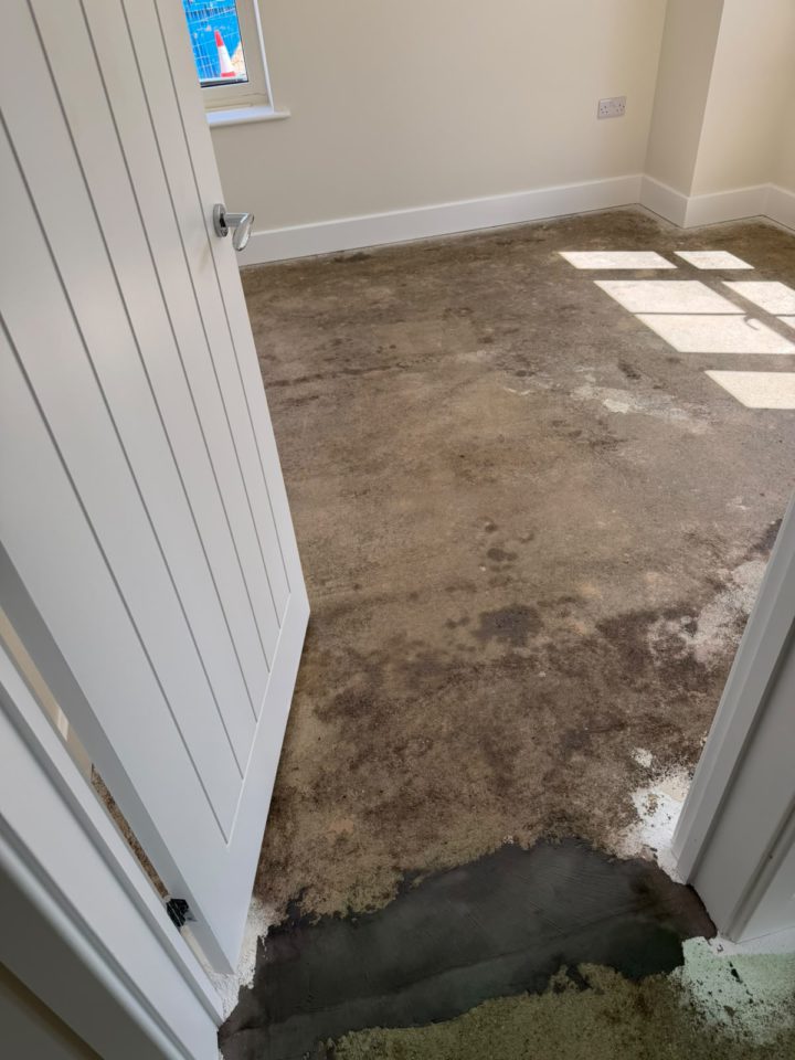 Ultimus Collection   Majestic Sierra by Invictus with F Ball Stop Gap 1200 Sub Floor 04