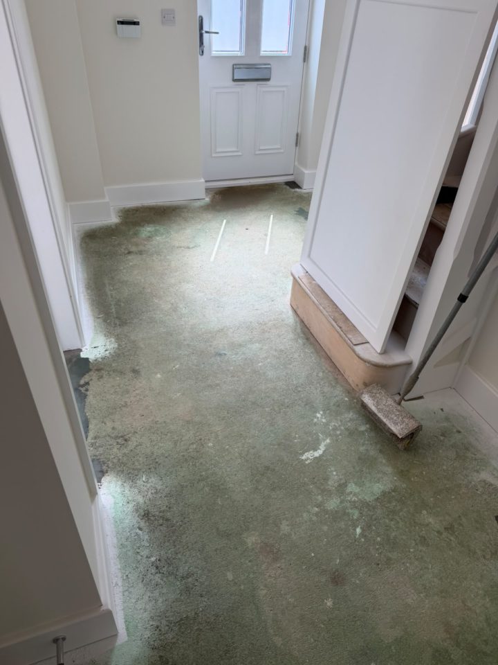 Ultimus Collection   Majestic Sierra by Invictus with F Ball Stop Gap 1200 Sub Floor 05